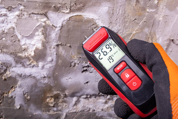 Best Affordable Mold Removal  in Terra Bella, CA