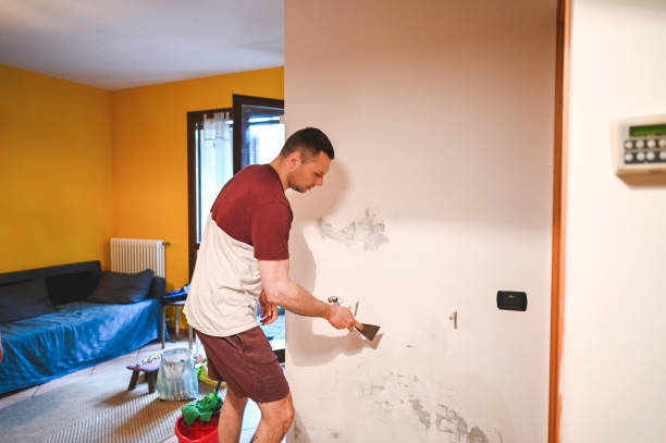  Terra Bella, CA Mold Removal Pros